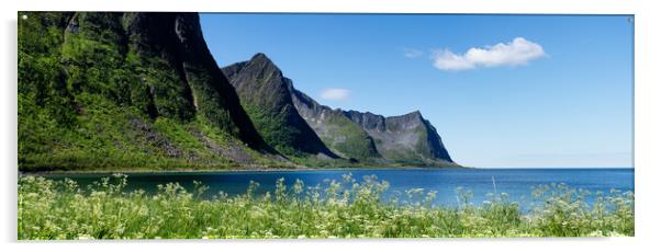 Senja Island Steinfjorden mountains Norway Acrylic by Sonny Ryse