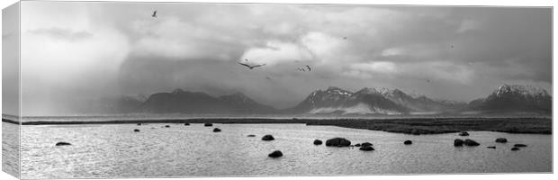 Vesteralen mountains and Hadselfjorden Fjord Norway Black and wh Canvas Print by Sonny Ryse