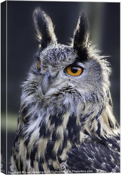 Gandalf the Eagle Owl Canvas Print by Paul Messenger