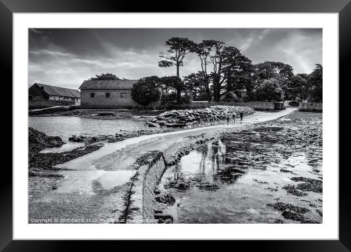 Île de Berde in Brettany - C1506-2164-BW Framed Mounted Print by Jordi Carrio