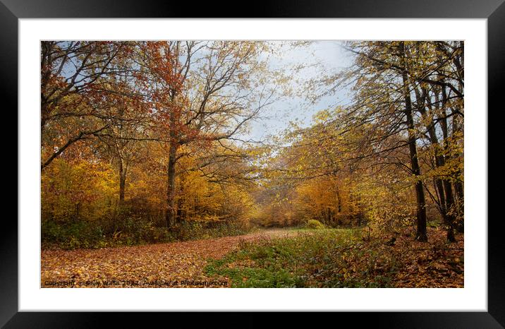 Autumn Forest crossroads Framed Mounted Print by Sally Wallis