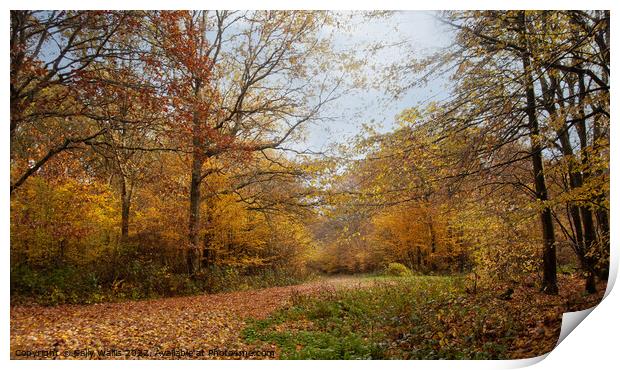 Autumn Forest crossroads Print by Sally Wallis
