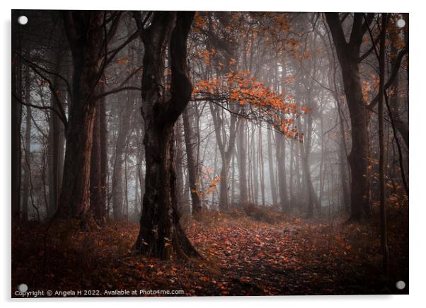 Foggy Forest Acrylic by Angela H