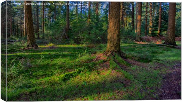 Enchanting Autumn Walk Canvas Print by Derek Daniel