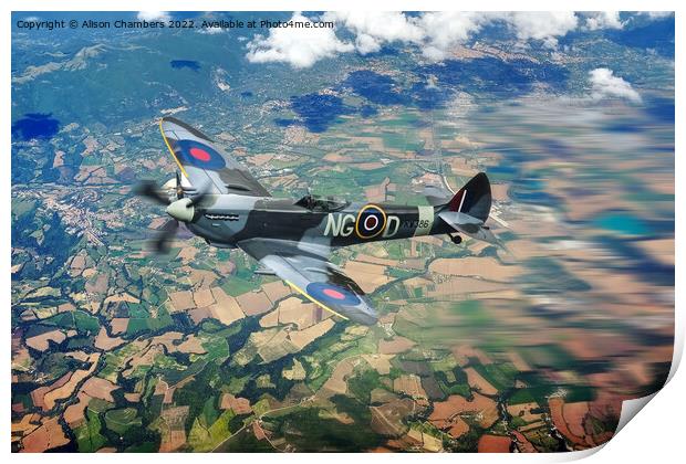 Spitfire  Print by Alison Chambers