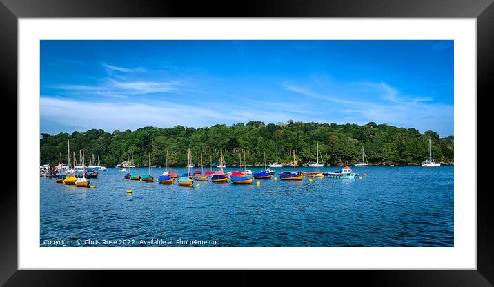 Fowey sailing dinghies Framed Mounted Print by Chris Rose