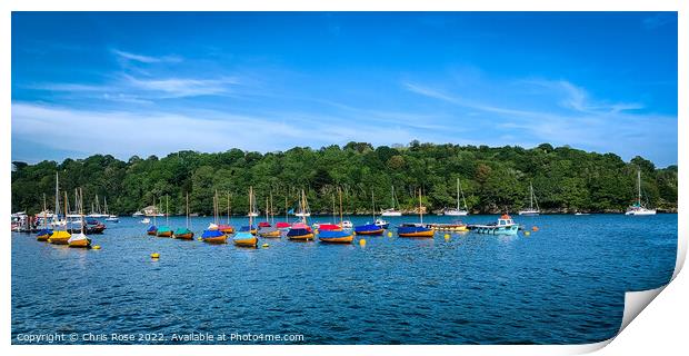 Fowey sailing dinghies Print by Chris Rose