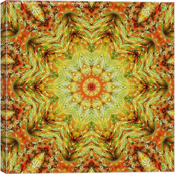 Tinsel Kaleidoscope Canvas Print by Laura Jarvis