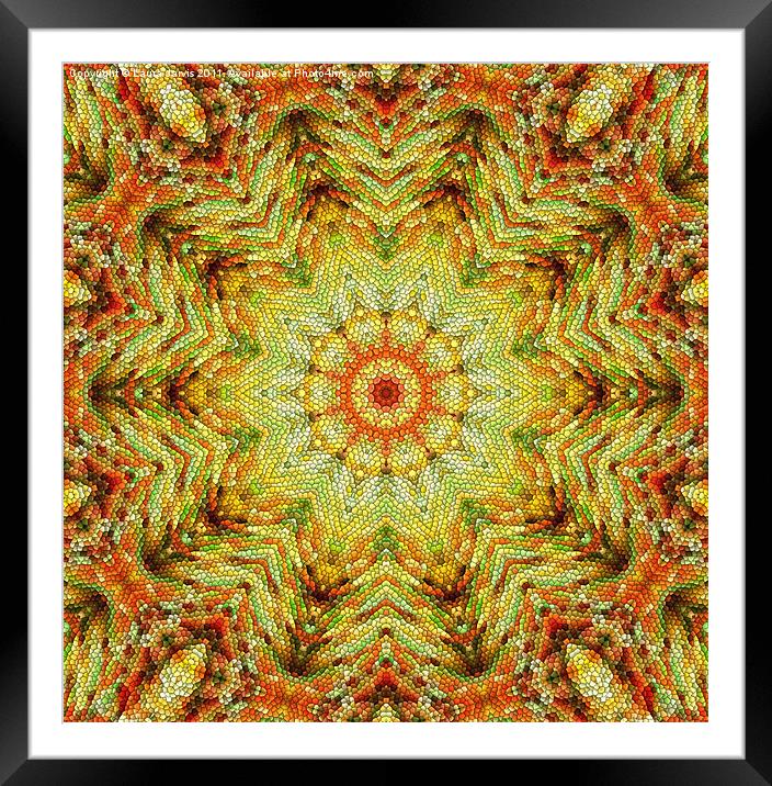 Tinsel Kaleidoscope Framed Mounted Print by Laura Jarvis