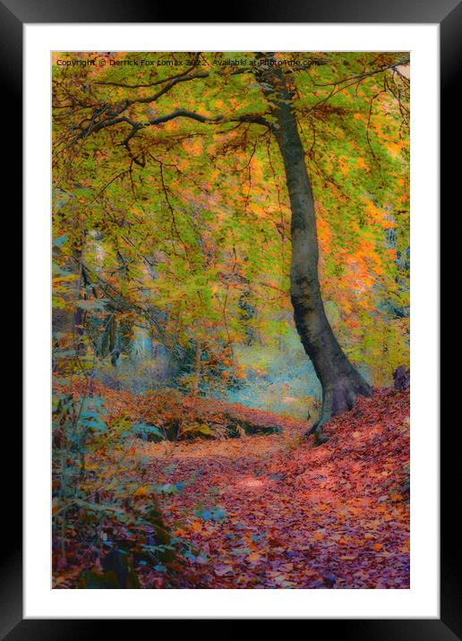 Autumn leaves Framed Mounted Print by Derrick Fox Lomax