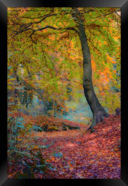 Autumn leaves Framed Print by Derrick Fox Lomax