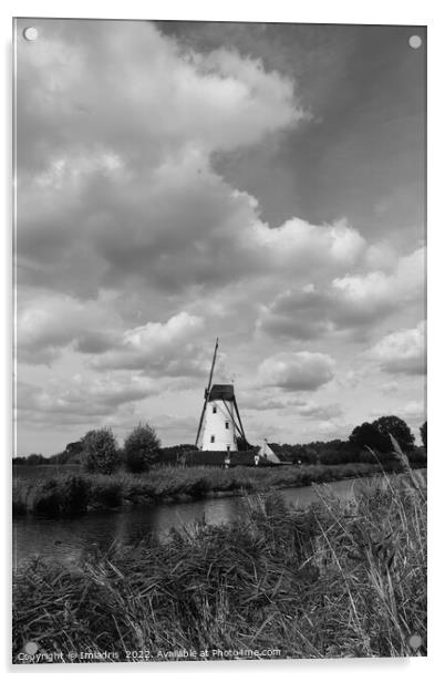 Schelle Windmill Mono, Damme, Belgium Acrylic by Imladris 