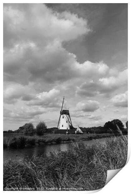 Schelle Windmill Mono, Damme, Belgium Print by Imladris 
