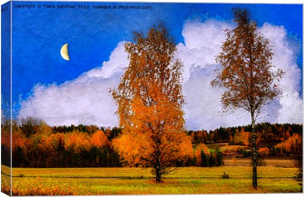 October Nightfall with the Moon Canvas Print by Taina Sohlman