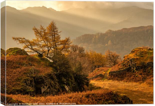 Borrowdale Rays Canvas Print by Northern Wild