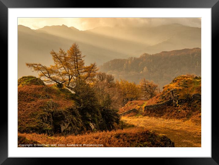 Borrowdale Rays Framed Mounted Print by Northern Wild
