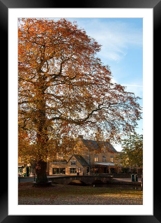 Bourton on the Water Autumn Trees Cotswolds UK Framed Mounted Print by Andy Evans Photos