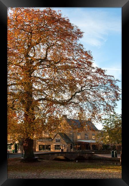 Bourton on the Water Autumn Trees Cotswolds UK Framed Print by Andy Evans Photos