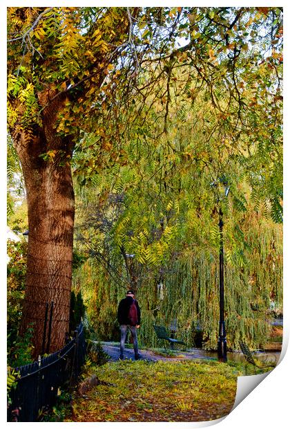 Bourton on the Water Autumn Trees Cotswolds UK Print by Andy Evans Photos