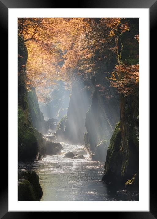 Fairy Glen at Betws y Coed Framed Mounted Print by Rory Trappe