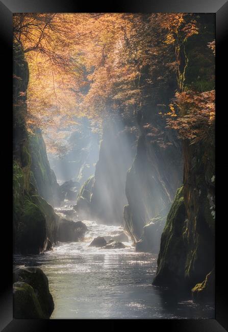 Fairy Glen at Betws y Coed Framed Print by Rory Trappe