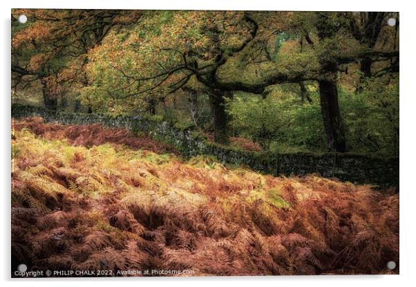 Tarn Howes Autumn  woodland 846 Acrylic by PHILIP CHALK