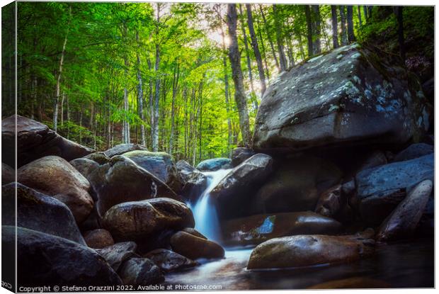 Abetone, stream waterfall inside a forest. Apennines, Tuscany Canvas Print by Stefano Orazzini