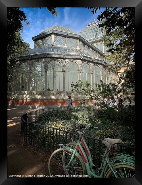 A Glass House Oasis in Madrid Framed Print by Deanne Flouton