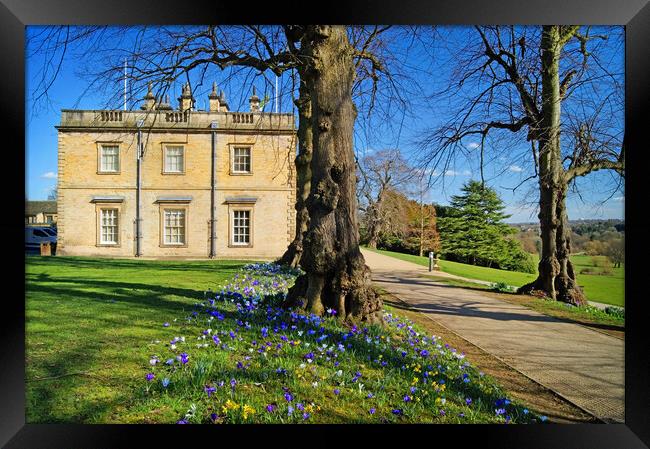 Cannon Hall  Framed Print by Darren Galpin