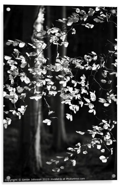 sunlit beech leaves monochrome  Acrylic by Simon Johnson