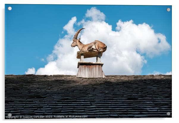 Alpine ibex, goats with long horns, perch on the roofs of houses Acrylic by Joaquin Corbalan