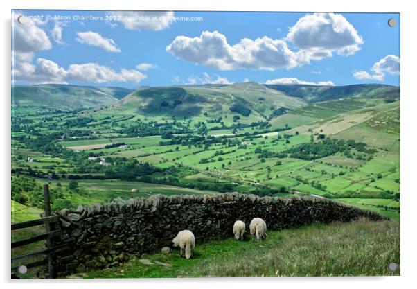 Vale Of Edale Acrylic by Alison Chambers