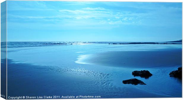 Coast Canvas Print by Sharon Lisa Clarke