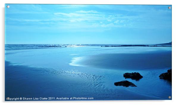 Coast Acrylic by Sharon Lisa Clarke