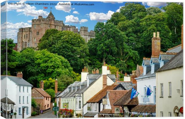 Dunster Village and Castle Canvas Print by Alison Chambers