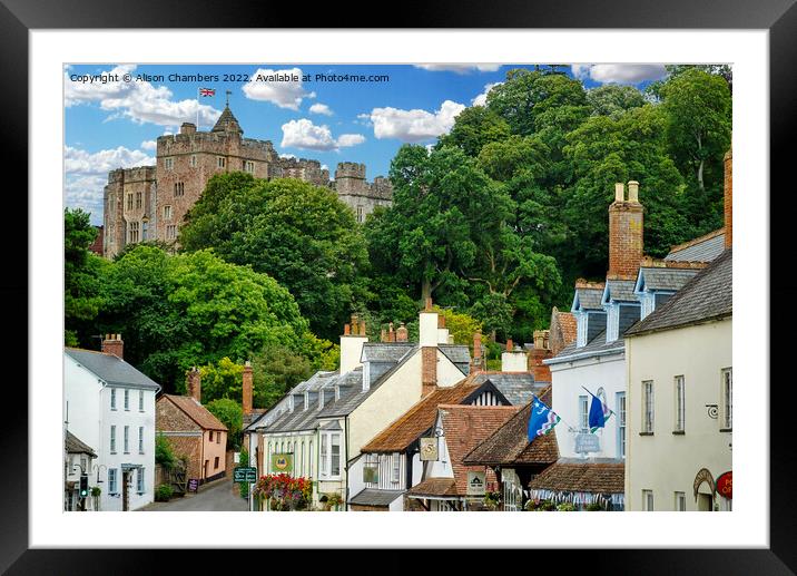 Dunster Village and Castle Framed Mounted Print by Alison Chambers