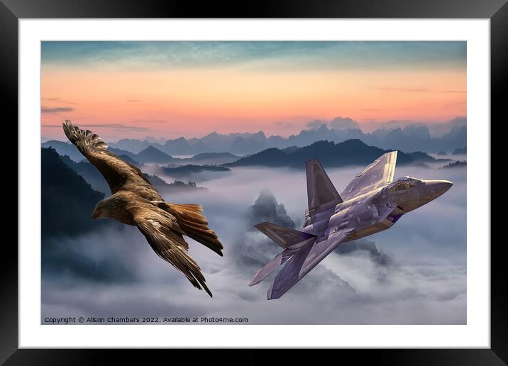 F22 Raptor Framed Mounted Print by Alison Chambers