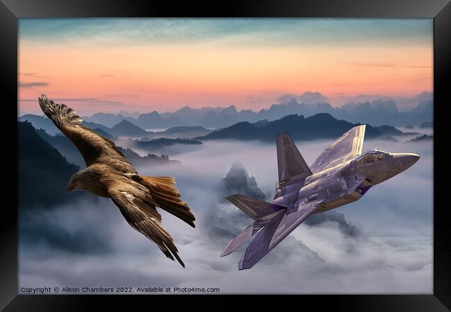 F22 Raptor Framed Print by Alison Chambers