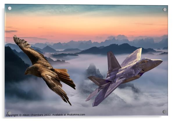 F22 Raptor Acrylic by Alison Chambers