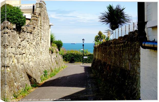 Sea view from a cliff top lane at Shanklin, Isle of Wight. Canvas Print by john hill