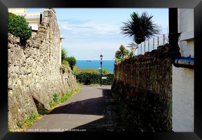 Sea view from a cliff top lane at Shanklin, Isle of Wight. Framed Print by john hill