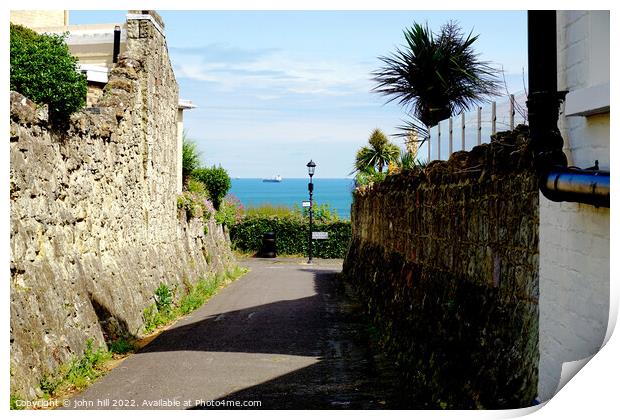 Sea view from a cliff top lane at Shanklin, Isle of Wight. Print by john hill