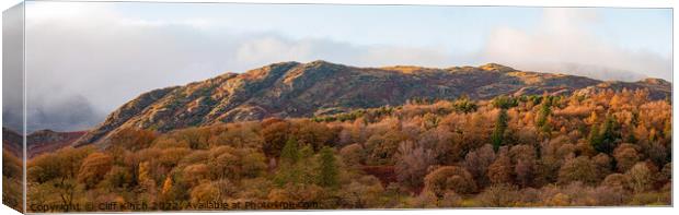 Yewdale Fells Panorama Canvas Print by Cliff Kinch