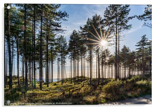 Newborough Forest  Acrylic by Gail Johnson