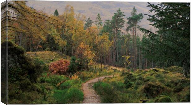 Searching for Signal Rock Glencoe Canvas Print by Andy Shackell