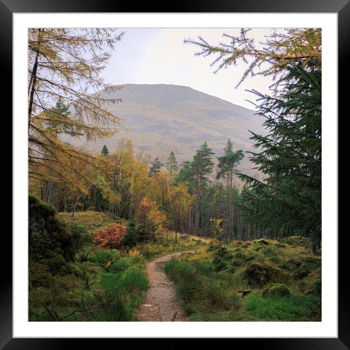Glencoe Autumn  Framed Mounted Print by Andy Shackell