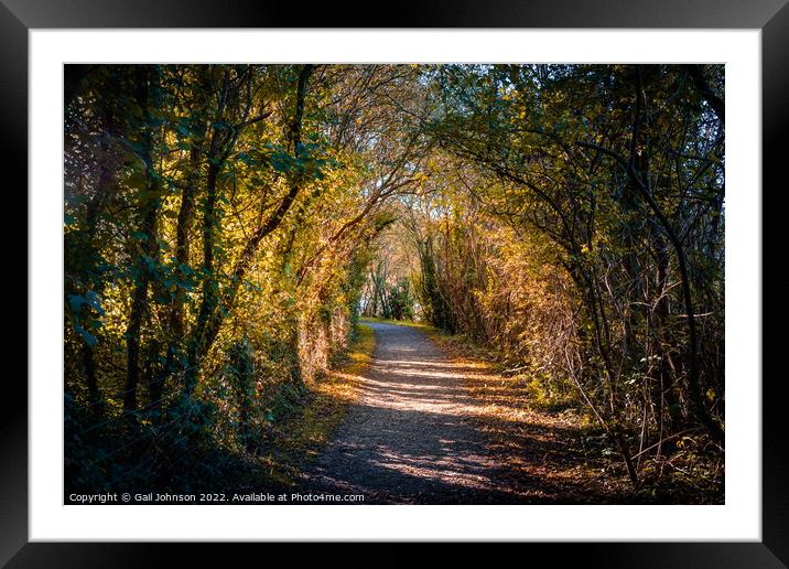 Autumn path  Framed Mounted Print by Gail Johnson