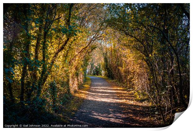 Autumn path  Print by Gail Johnson