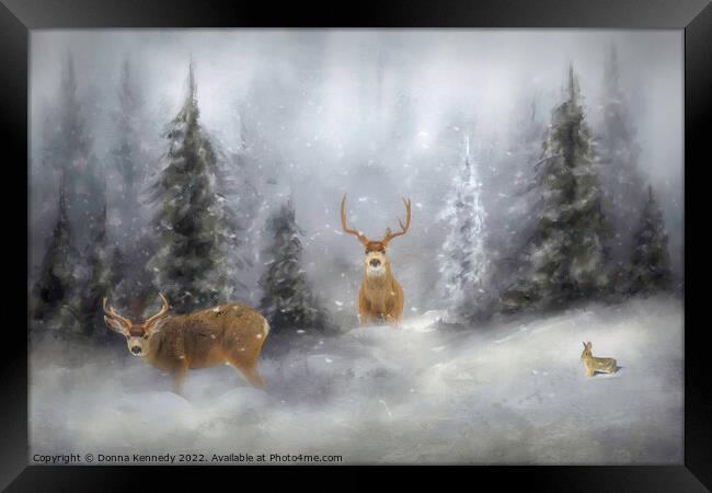 Winter Wildlife Framed Print by Donna Kennedy