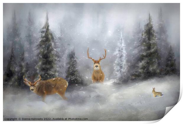 Winter Wildlife Print by Donna Kennedy